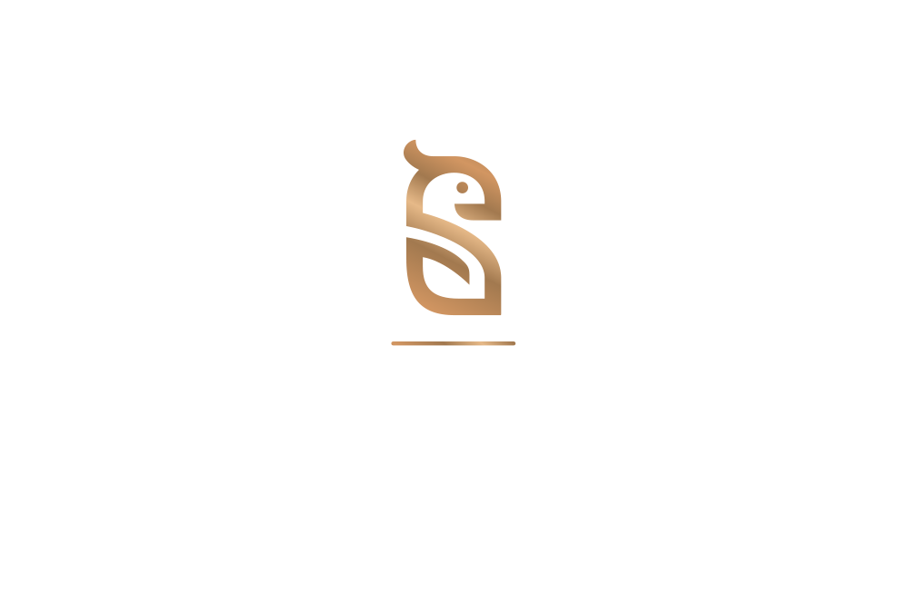 shoelerz